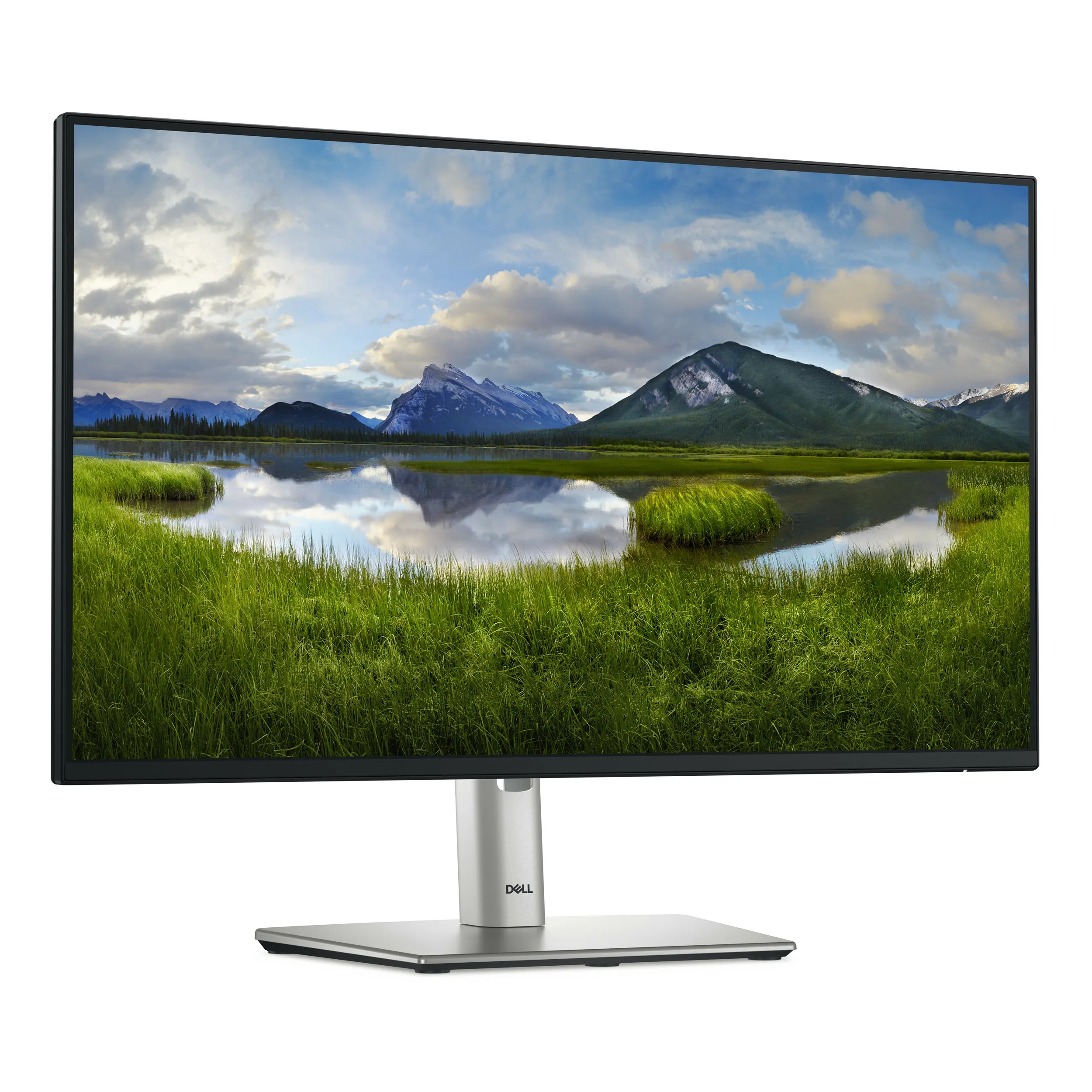 Monitor Dell Pro Plus P2425H | 24" | 1920x1080 | IPS | 100Hz | 1500:1 | USB-C | HDMI | DisplayPort | VGA - Image 3