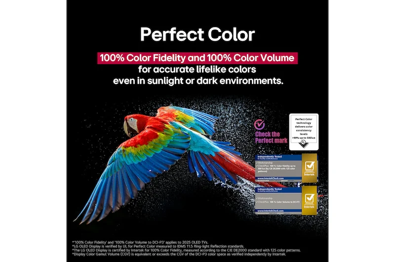 Televisor LG OLED EVO | webOS | 55" | 4k | HDMI | USB | Wi-Fi | DVB-T - Image 6
